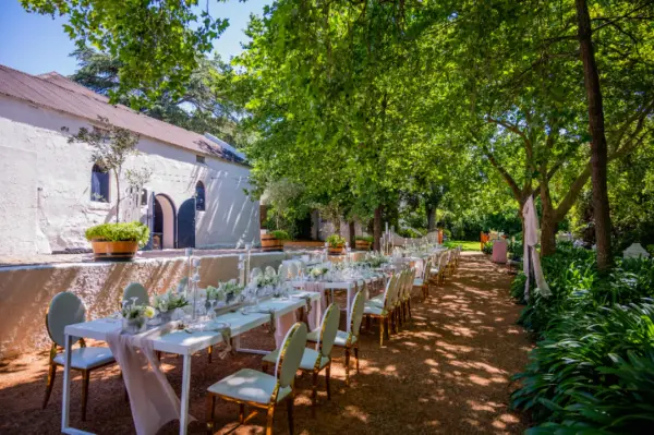 Outdoor wedding reception decor