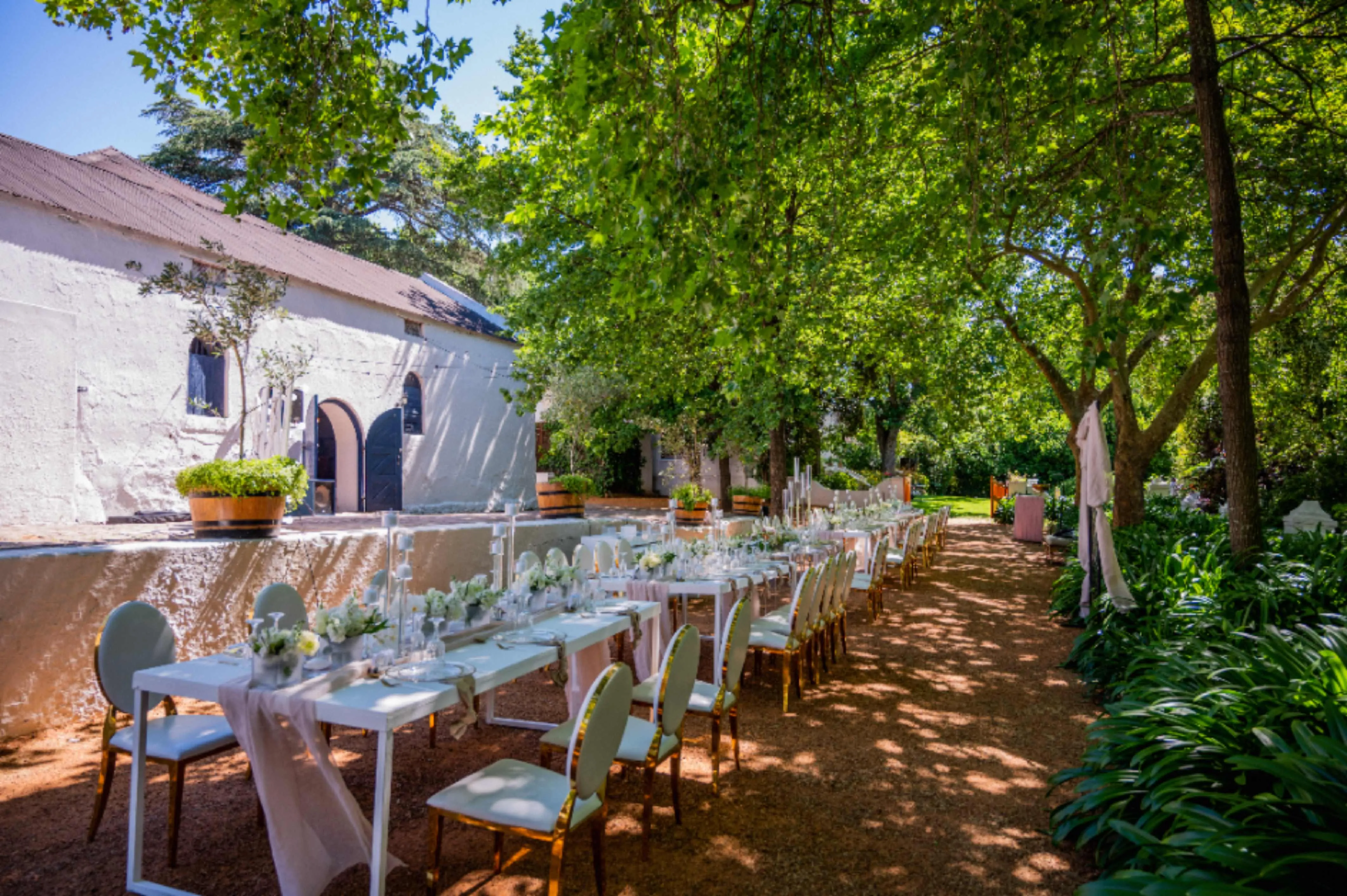 Outdoor wedding reception decor